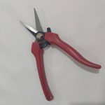 قیچی باغیانی