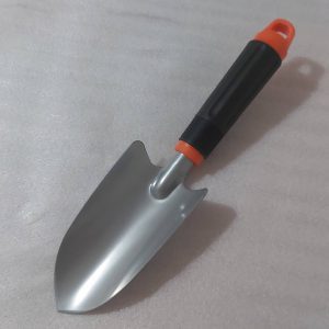 بیلچه پهن بهکو تایوان