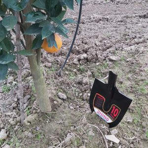 بیل باغبانی