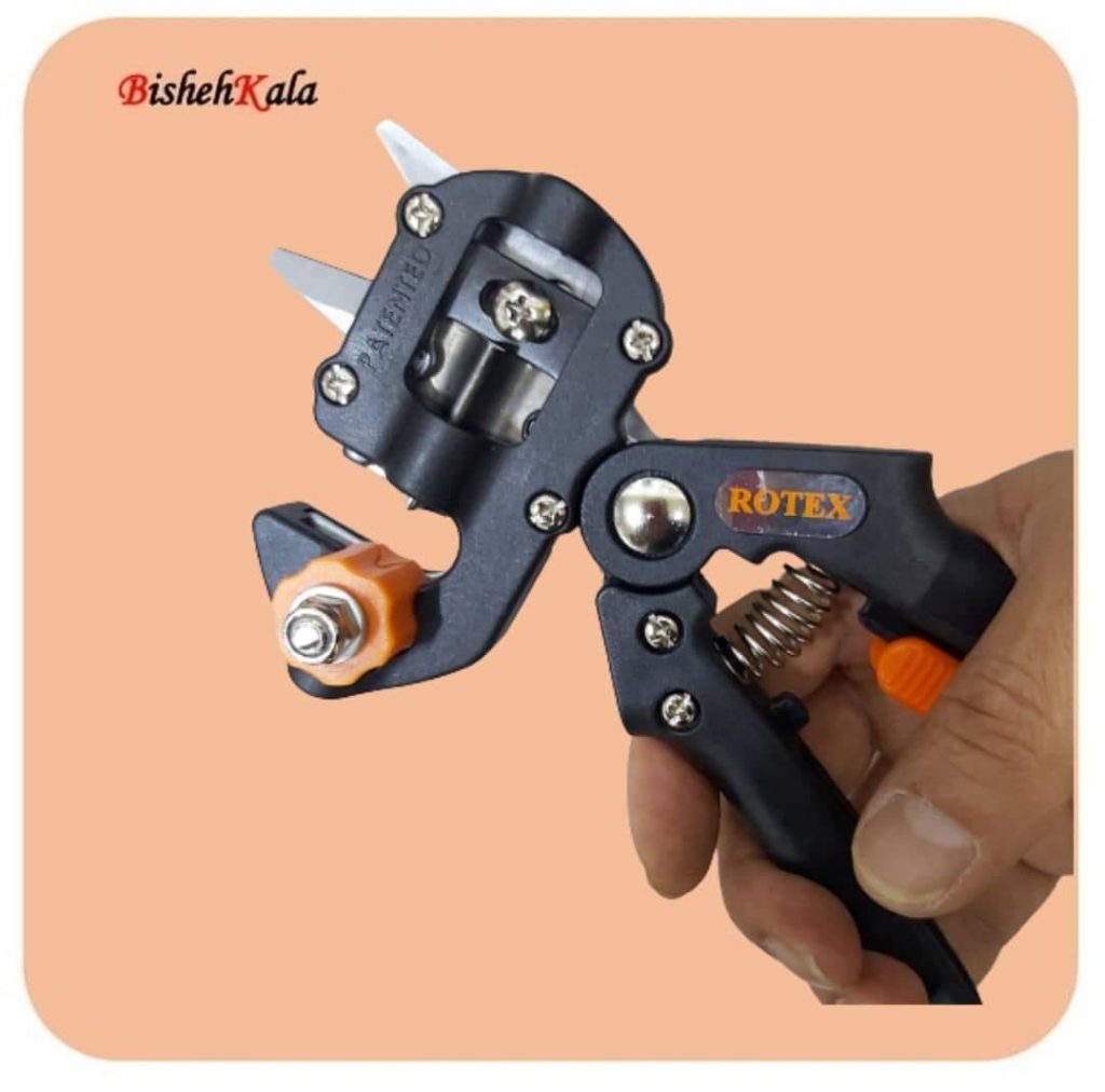 PD-3jpg پیوند زن تایوانی